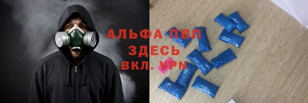 сатива Алзамай