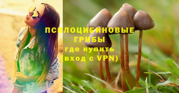 спайс Алексеевка