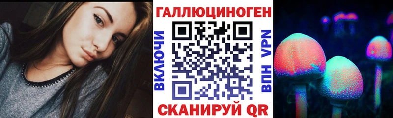 купить   Йошкар-Ола  Галлюциногенные грибы MAGIC MUSHROOMS 